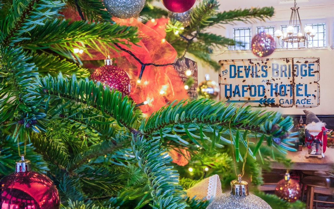 🎄 Christmas at The Hafod – Festive Menus & Winter Breaks Now Open for Booking